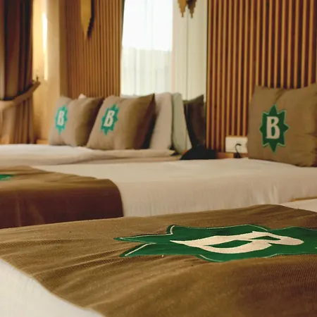 Bizim Hotel 3*
