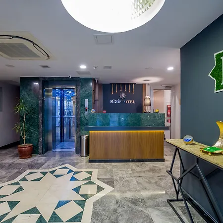 Bizim Istanbulská provincie