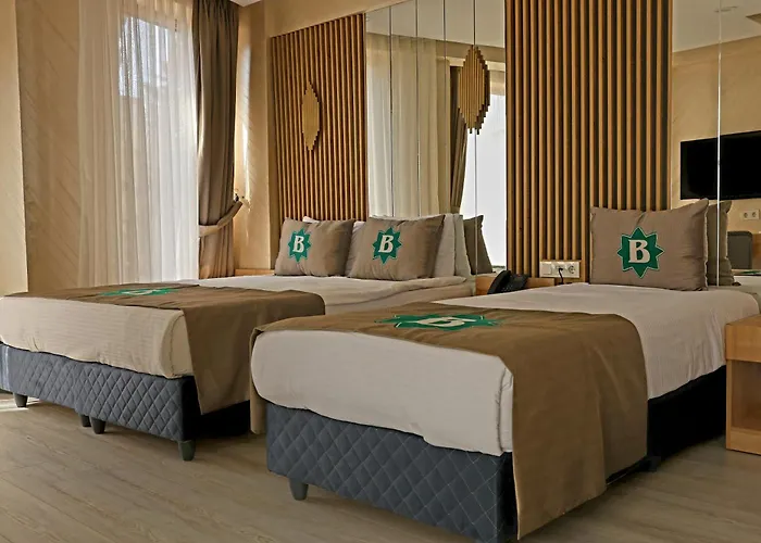 비짐 3* 이스탄불